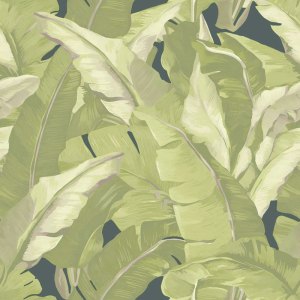 Papel Pintado Rio 2006 Encanto
